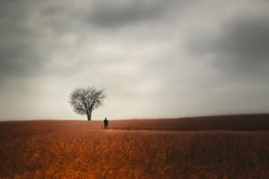 A importância do silêncio e da solitude no processo de autodescoberta