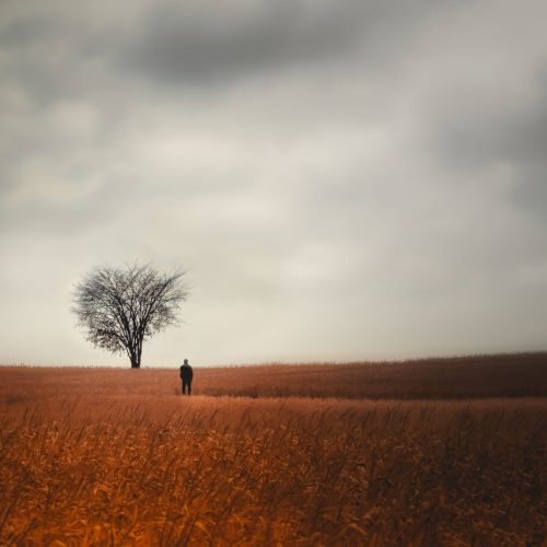A importância do silêncio e da solitude no processo de autodescoberta